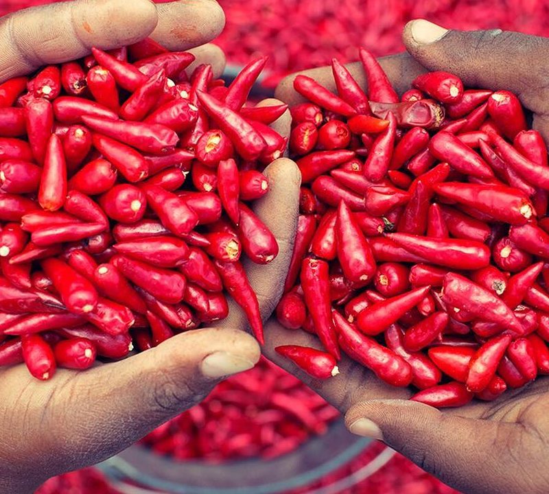Peri peri peppers