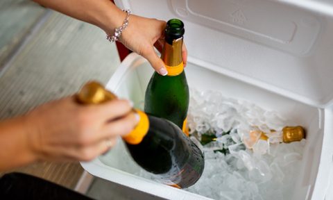 best affordable walmart coolers woman pulling two bottles of champagne out cooler