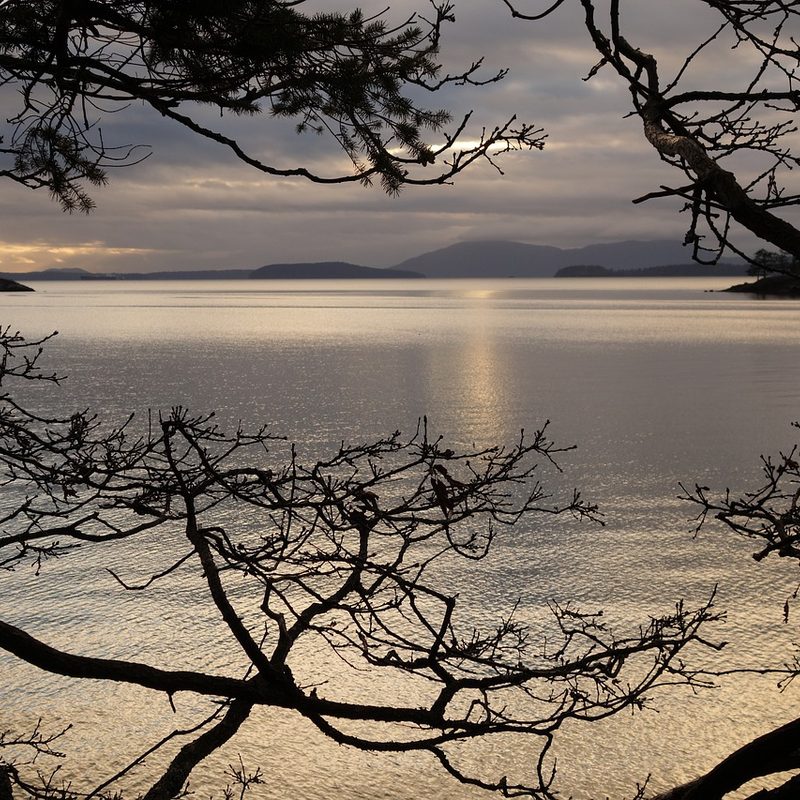 San Juan Island sunrise