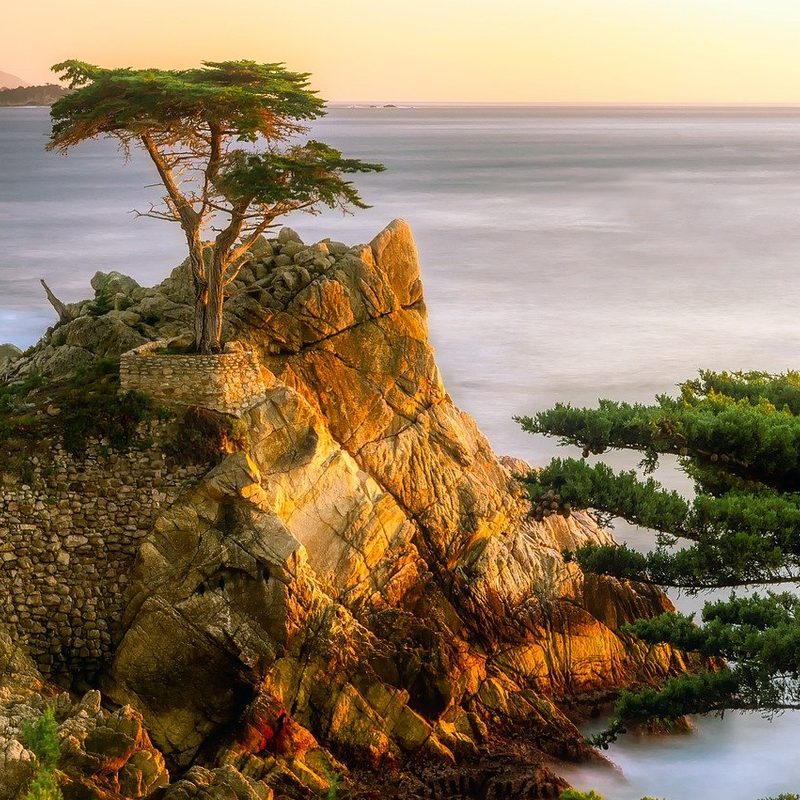 pebble beach in California