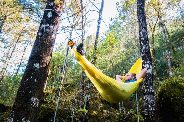 Man in hammock in the woods.