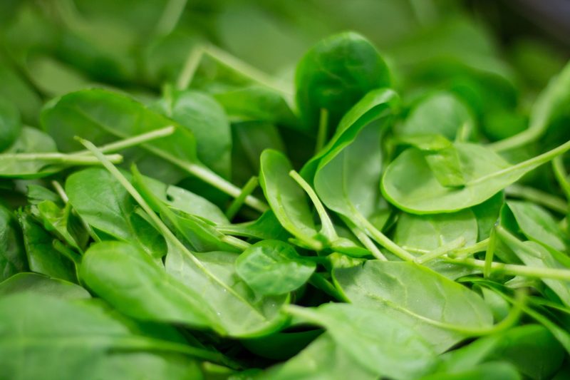 baby spinach leaves