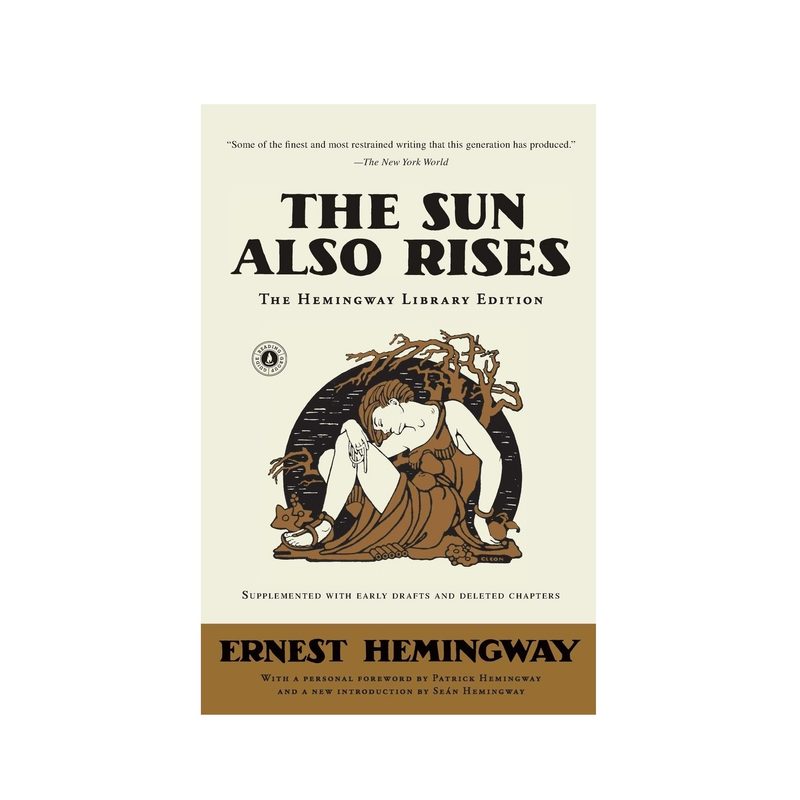 The sun also rises book.