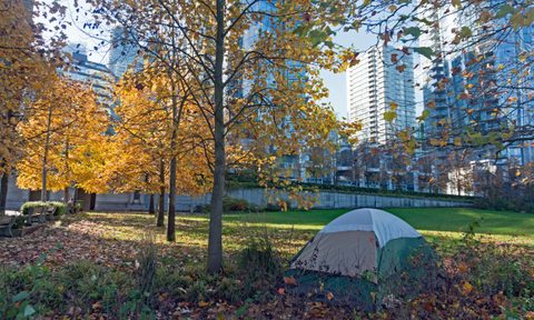 urban camping locations tips trees in park during autumn