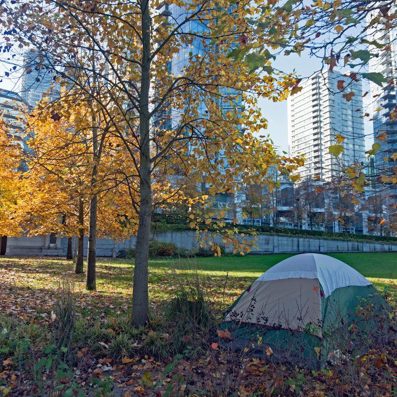 A tent is set up among trees sporing fall foliage at the edge of a green space in a city. 