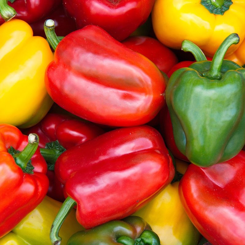 Bell peppers red green yellow peppers