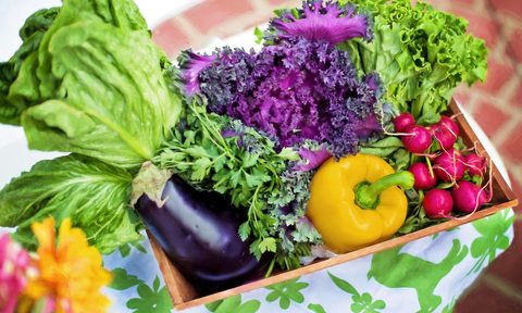 Bounty of healthy vegetables
