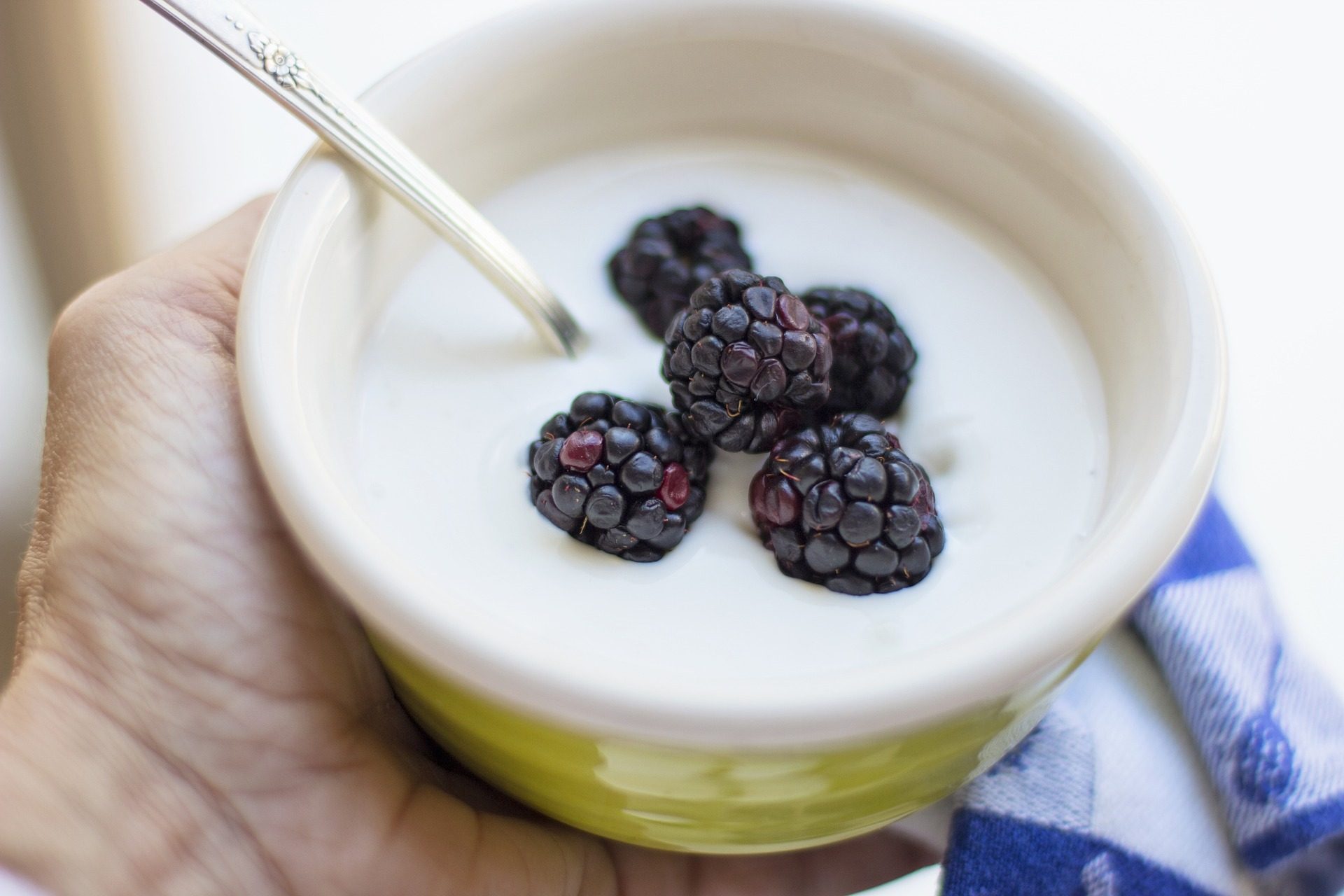 Cup of yogurt with berries
