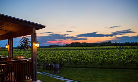 Macari Vineyards in New York.