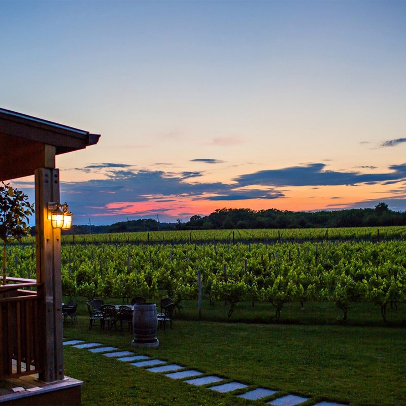 Macari Vineyards in New York.