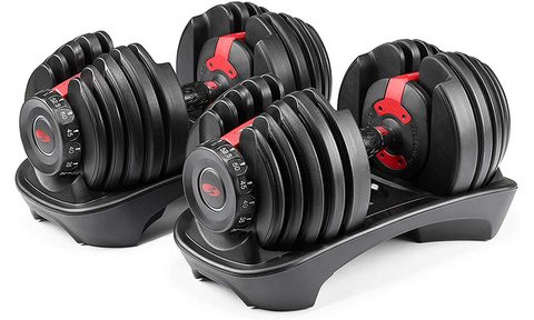 Bowflex SelectTech Dumbbells on a white background.