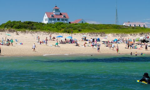 People enjoying the view at Coast Guard Beach in Cape Cod