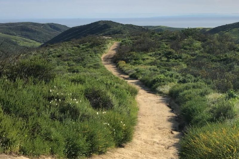 Trail at Crystal Coves State Park