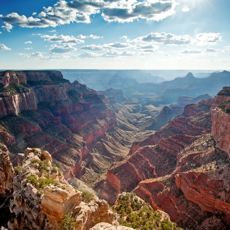 A view of the Canyon.