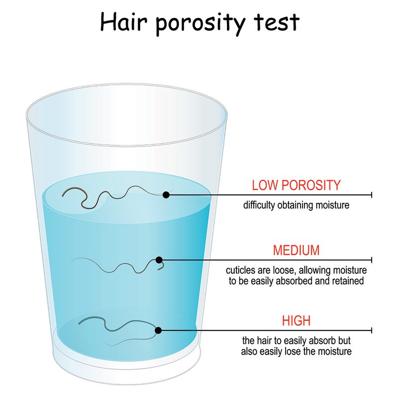 Hair porosity test