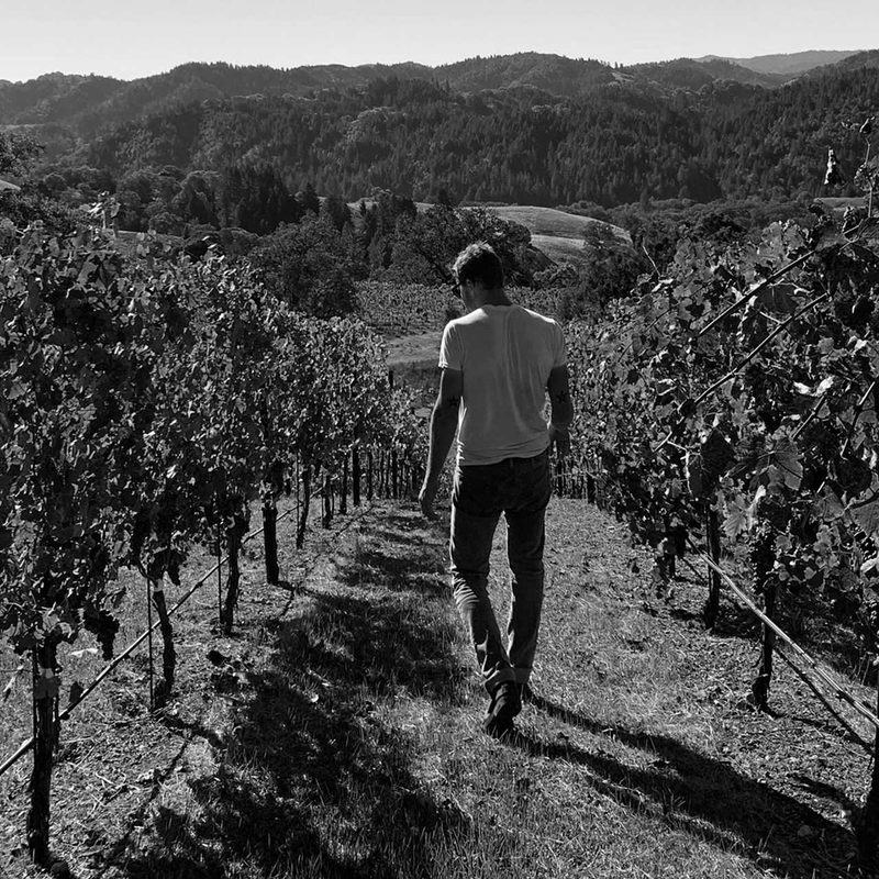Idlewild winery staff walking the vineyard rows.