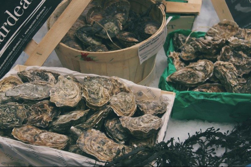 fresh oysters sitting in boxes and buckets on ice
