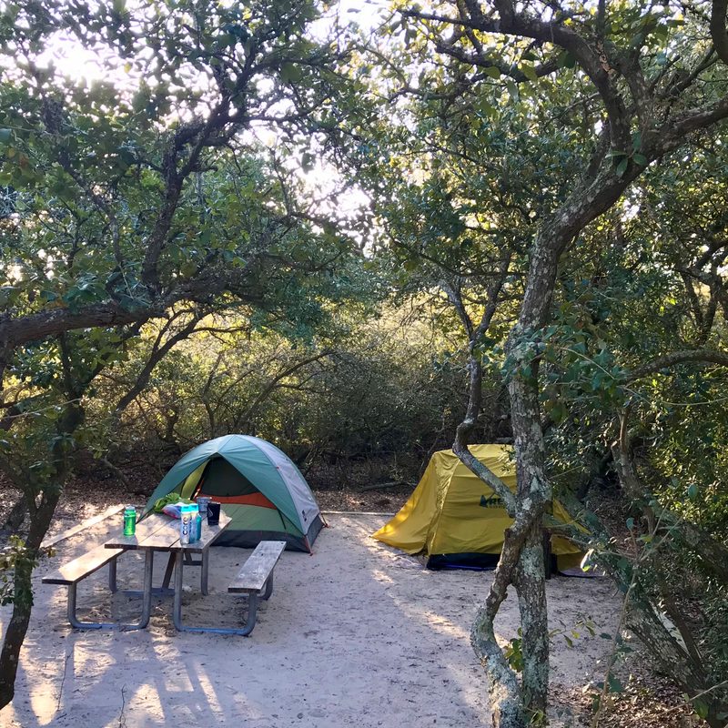 A campsite set-up containing two tents and a table in a thicket of trees.
