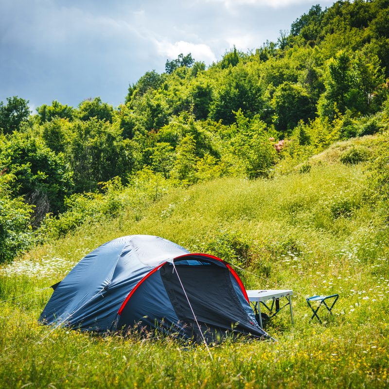 A blue tent in the lush wilderness.