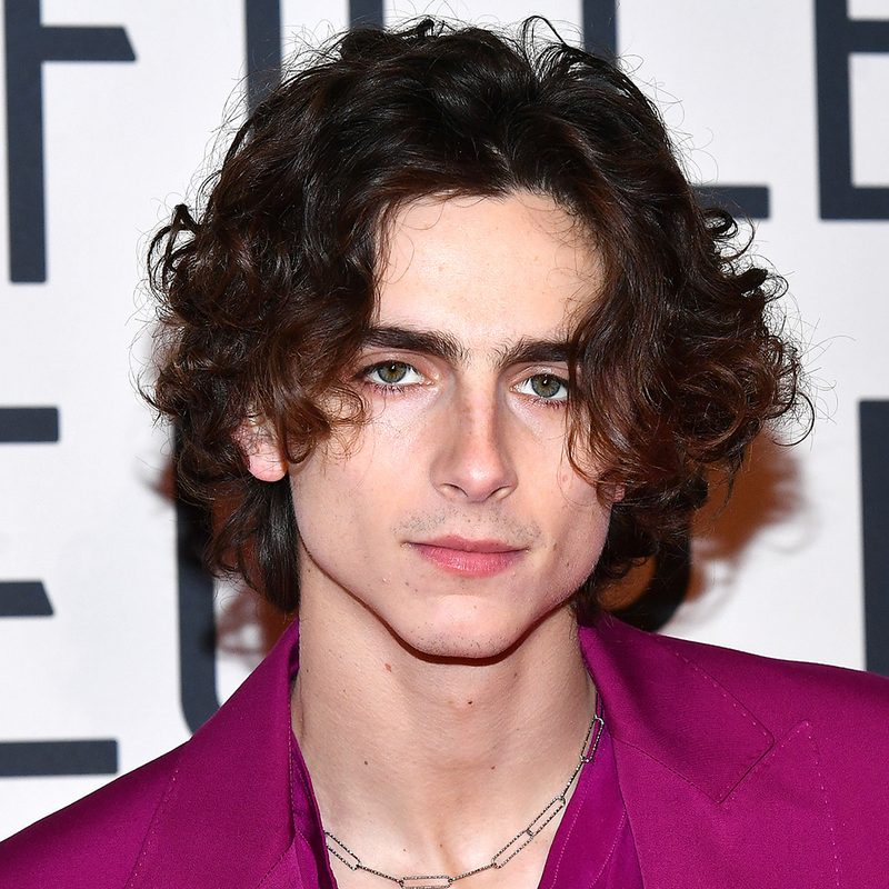 Timothee Chalamet