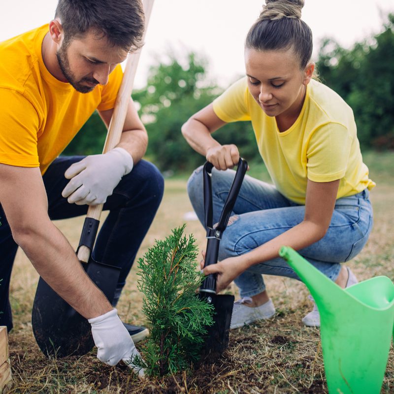 A couple volunteering to plant seedlings.