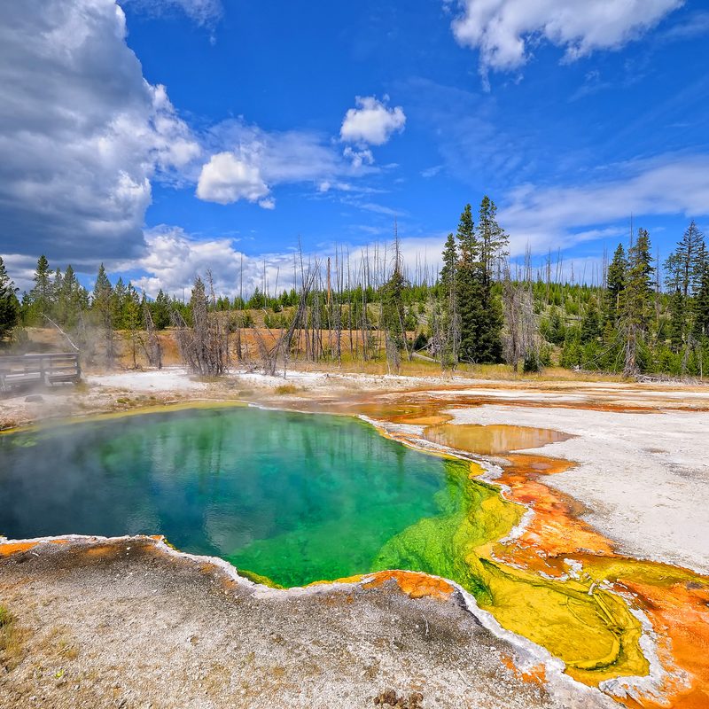 Geyser in Yellowstone National Park in Wyoming.