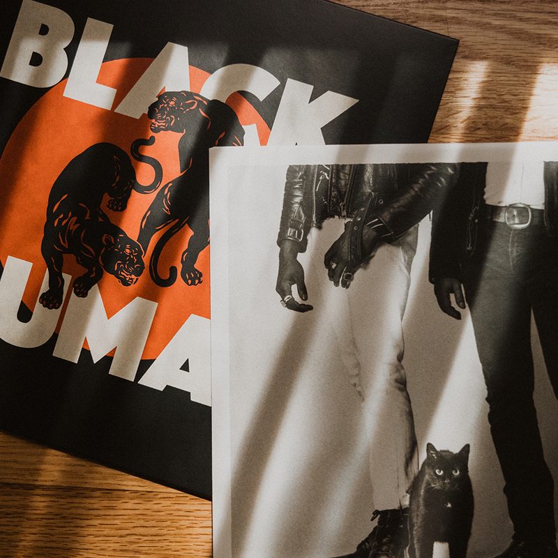 A Black Puma Vinyl Record