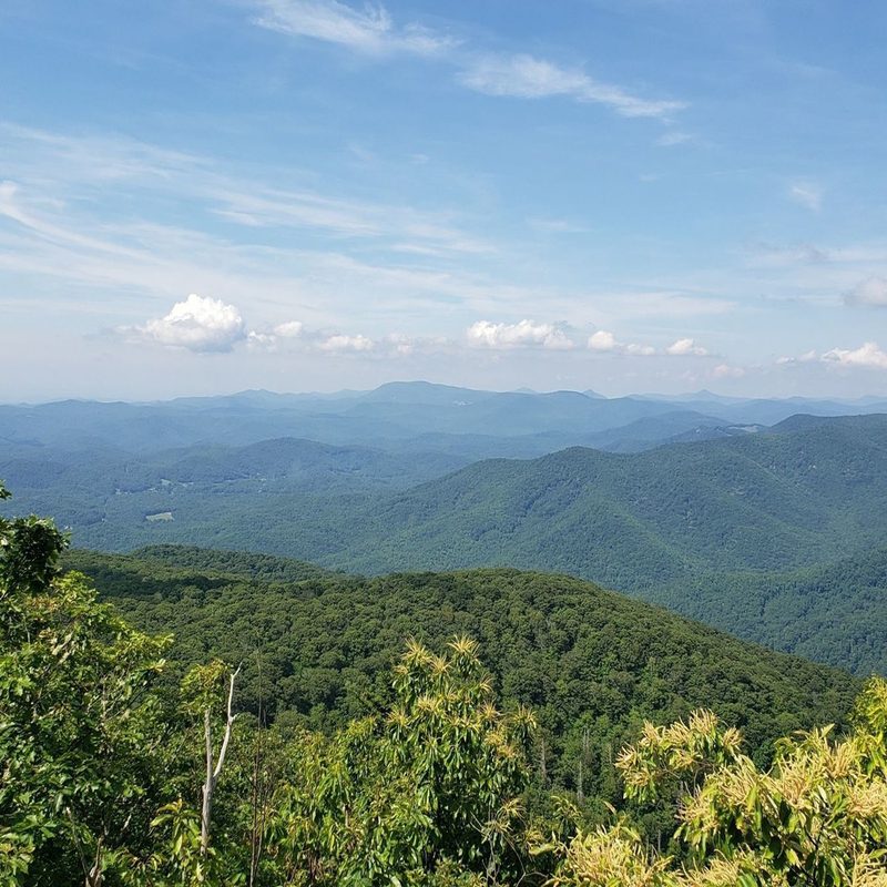 A view of the Art Loeb Trail at day.