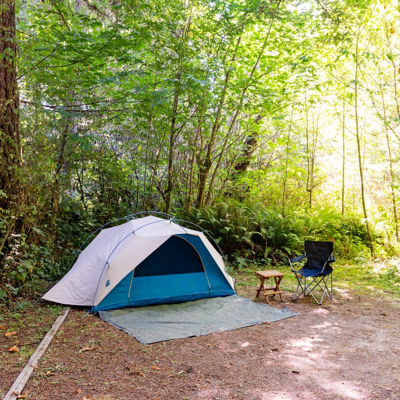 A white tent and a camping chair in a forest.
