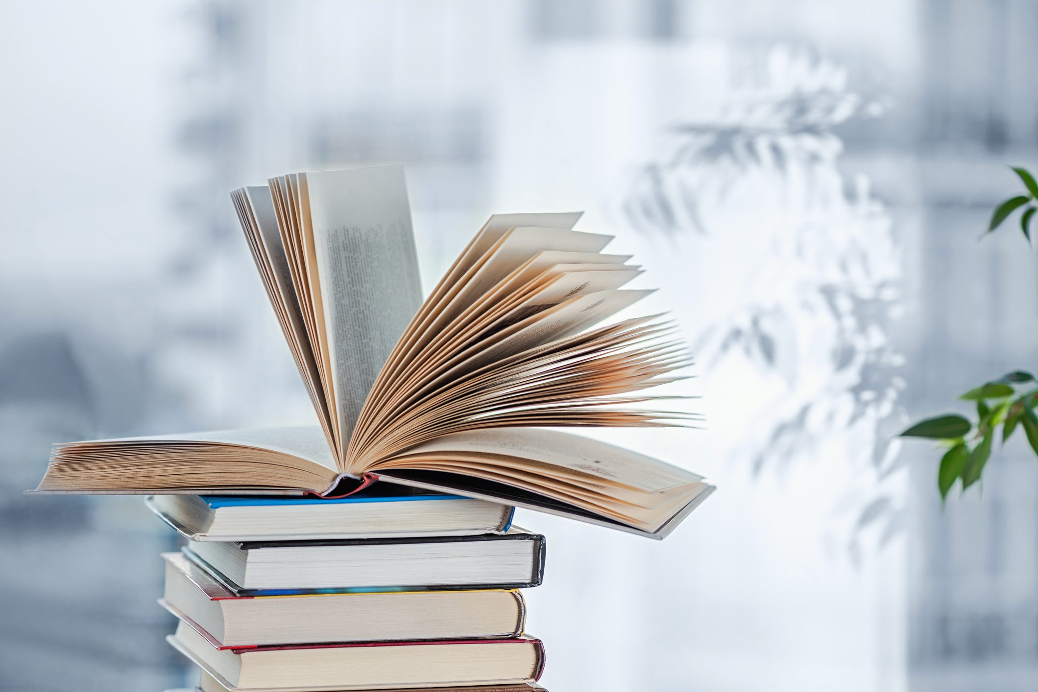 Books on a window background.