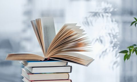 Books on a window background.
