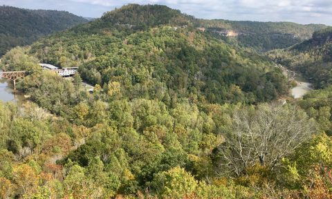 best national forests in america featured image