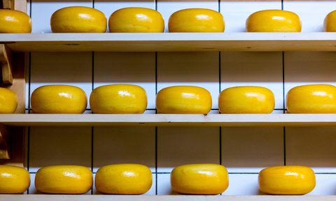 Dutch Gouda Wheels in Cheese Shop