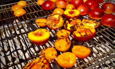 Charcoal grilled stone fruit.