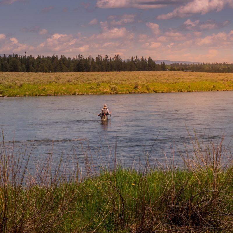Fly fishing along Henry's Fork River in Idaho with golden fields and mountains in the distance.