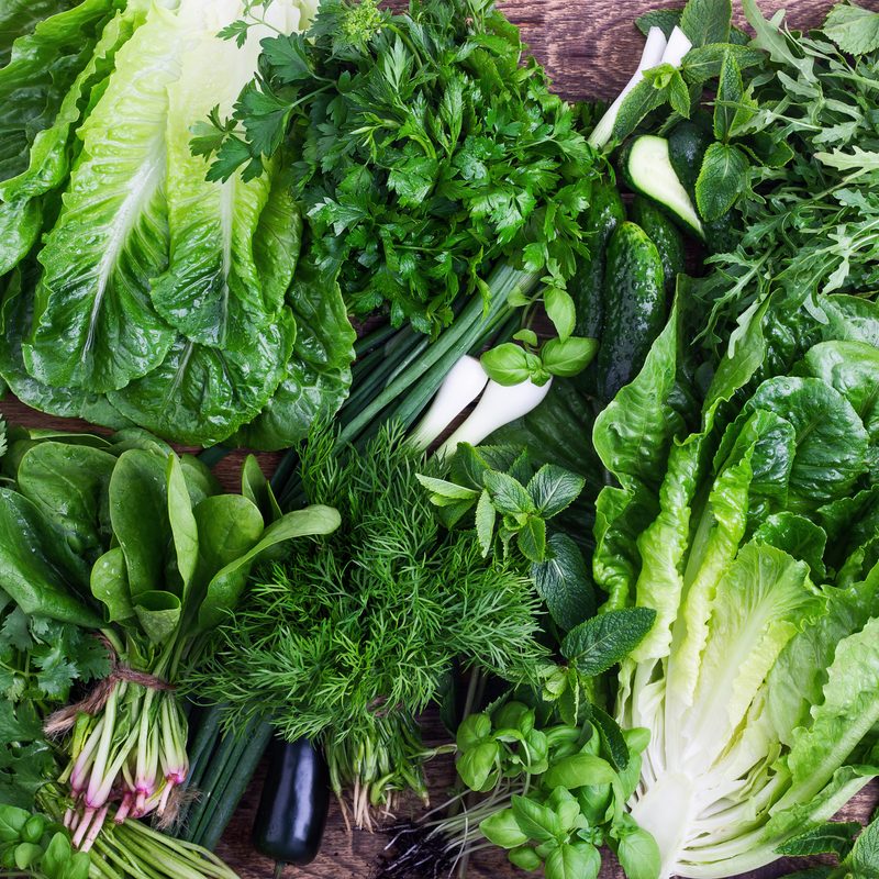A whole bunch of organic leafy vegetables on top of a table, including arugula, basil, romaine lettuce, dill, cilantro, and spinach.