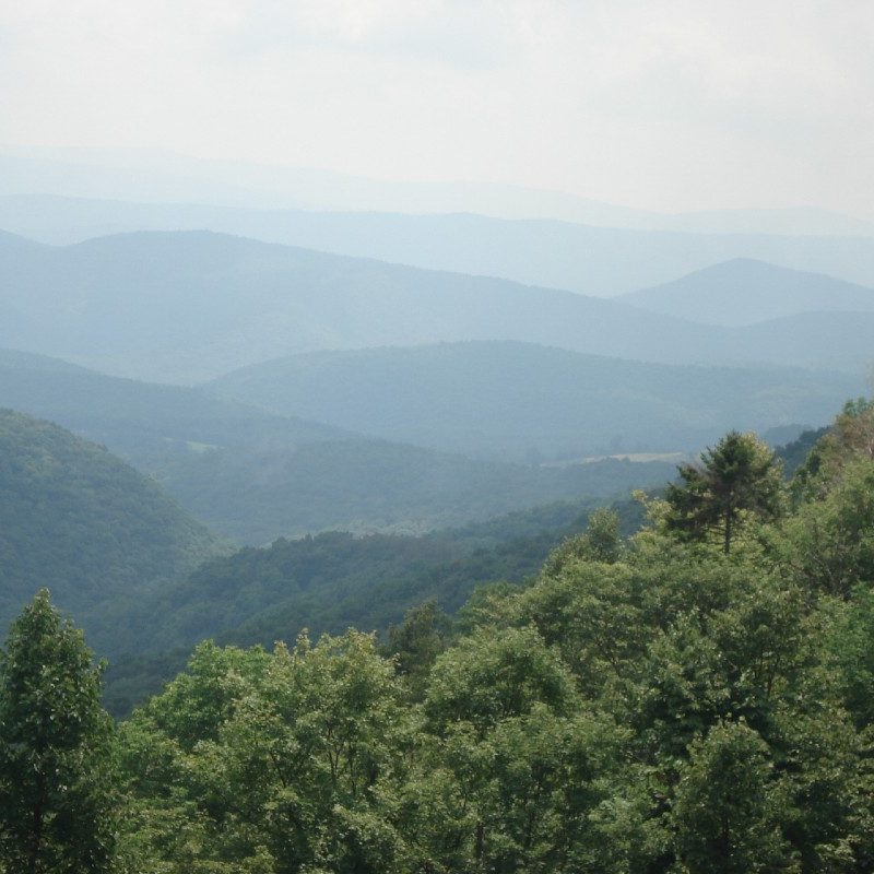 Monongahela National Forest