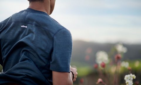 allbirds natural run collection news  tee