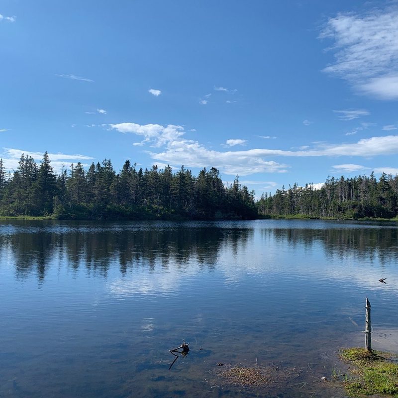 A pristine body of water at Pemigewasset Loop.