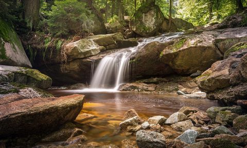 river flowing through the woods