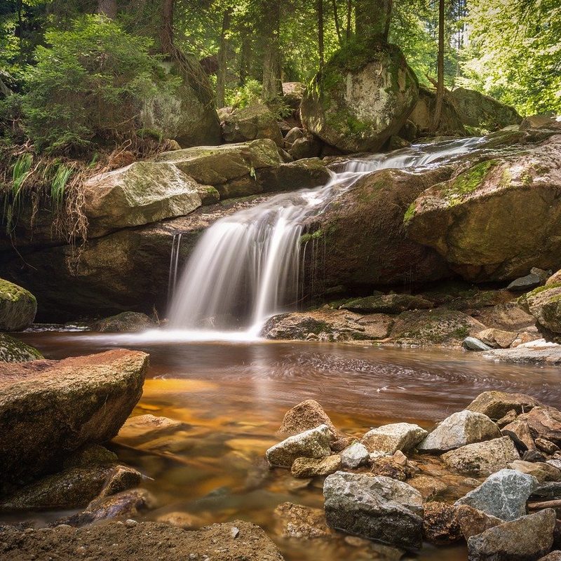 River flowing through the woods.