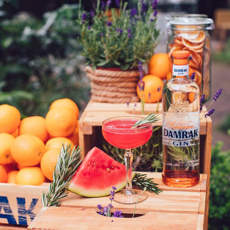 A slice of watermelon and a glass of Watermelon and Rosemary Gimlet cocktail surrounded by a bottle of Damrak Gin and oranges on a wooden table.