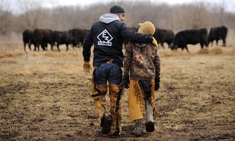 Adam of E3 Ranch with son Drake walking towards cattle.