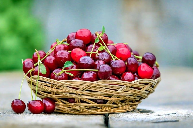 Bowl of cherries
