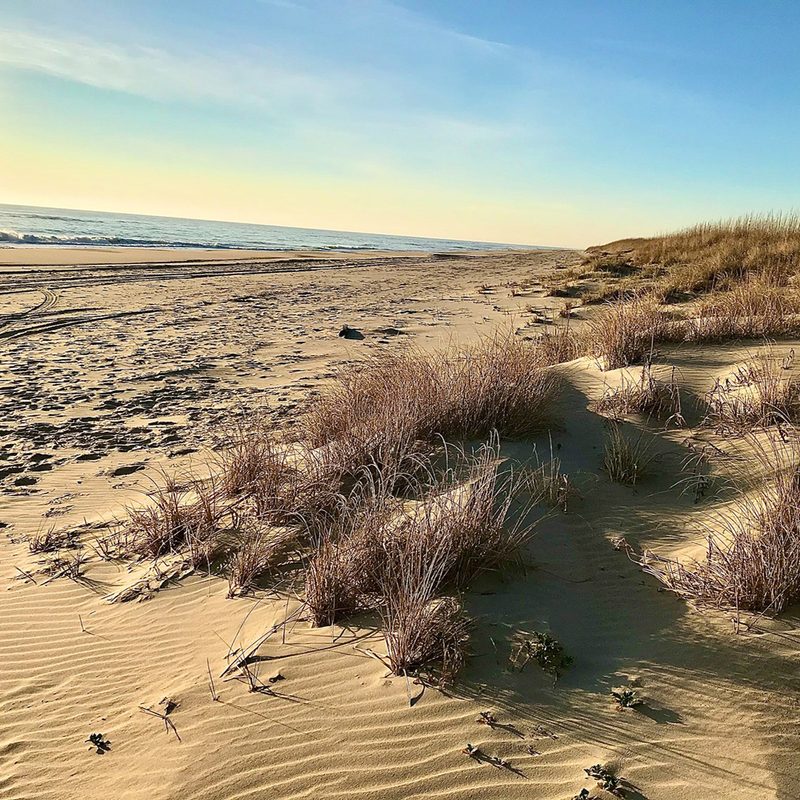 The landscape of False Cape.