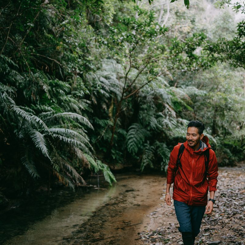 A man hiking in a forest