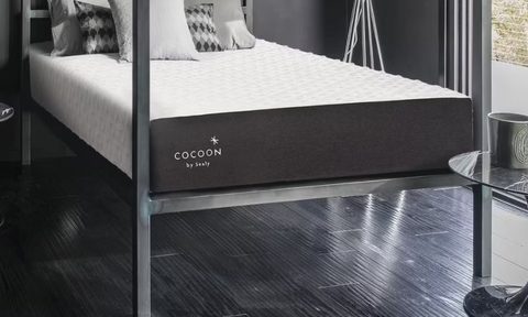 Modern bedroom decor with Cocoon by Sealy mattress and bed frame.