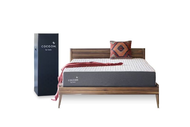 cocoon chill mattress by sealy