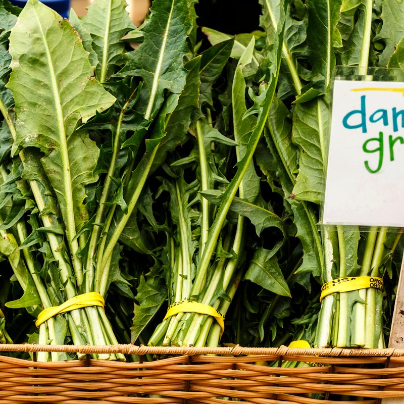 Dandelion leaves sold at a farmer's market.