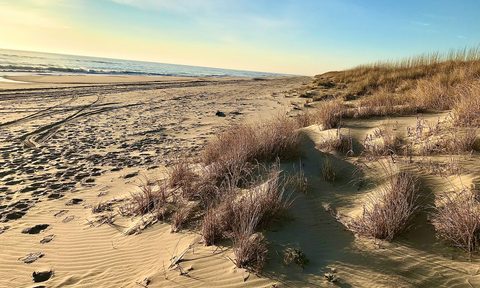 The landscape of False Cape.